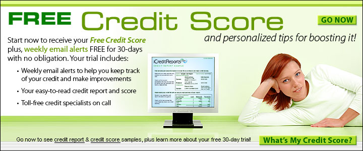 Denied Credit Free Report